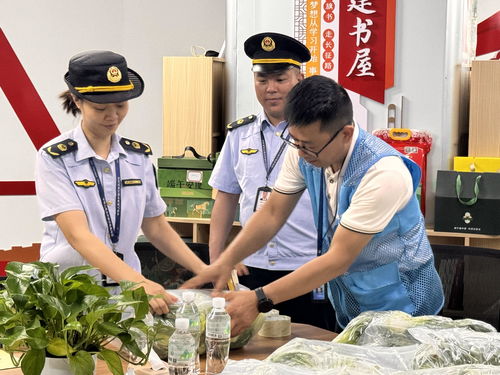 廣西龍勝“你點(diǎn)我檢” 科技賦能校園餐飲管理，守護(hù)學(xué)生舌尖安全