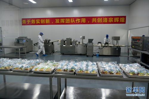 西藏洛隆 以青稞深加工技術(shù)開發(fā)，鋪就高原特色產(chǎn)業(yè)增收路